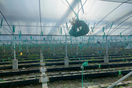 图1：鉴定物品示意图